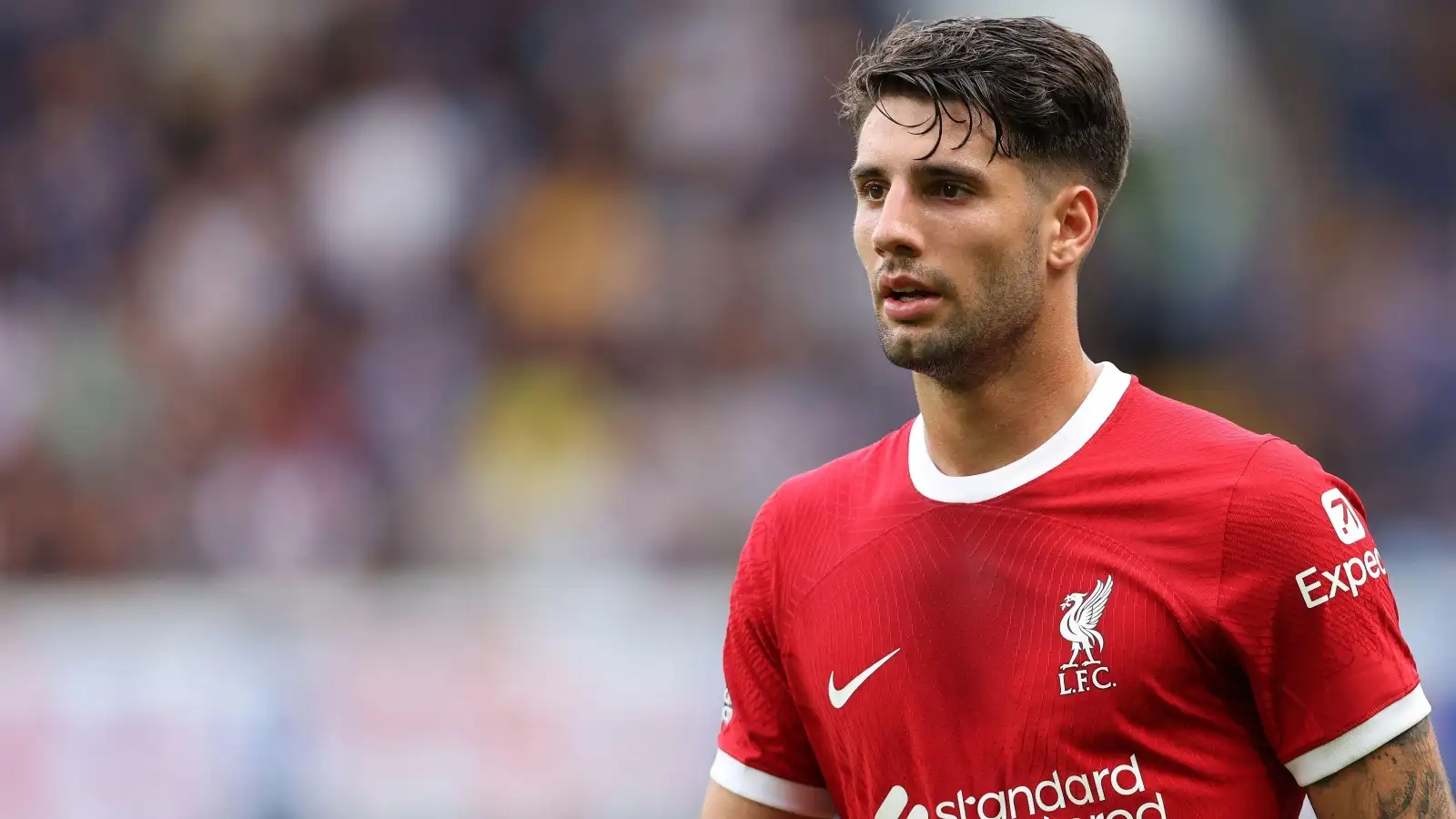 London, UK. 13th Aug, 2023. Dominik Szoboszlai of Liverpool during the Premier League match at Stamford Bridge, London.